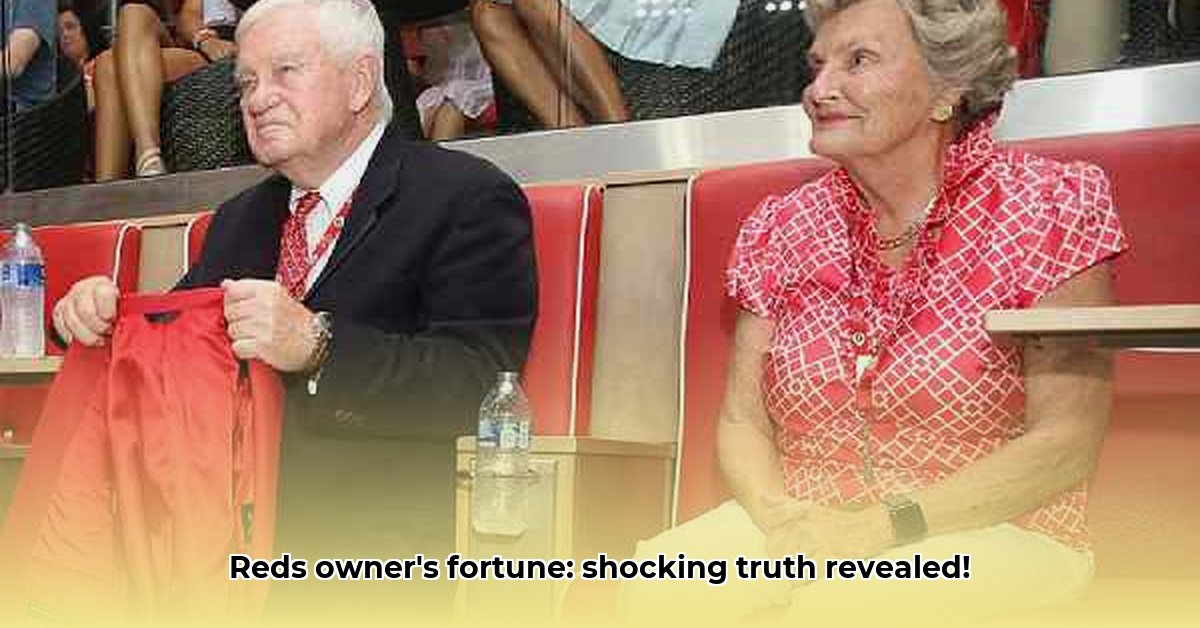 bob-castellini-net-worth